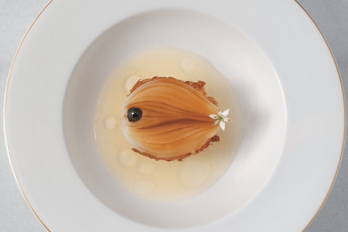 CULLER DE PAU (20-1-2026) 3