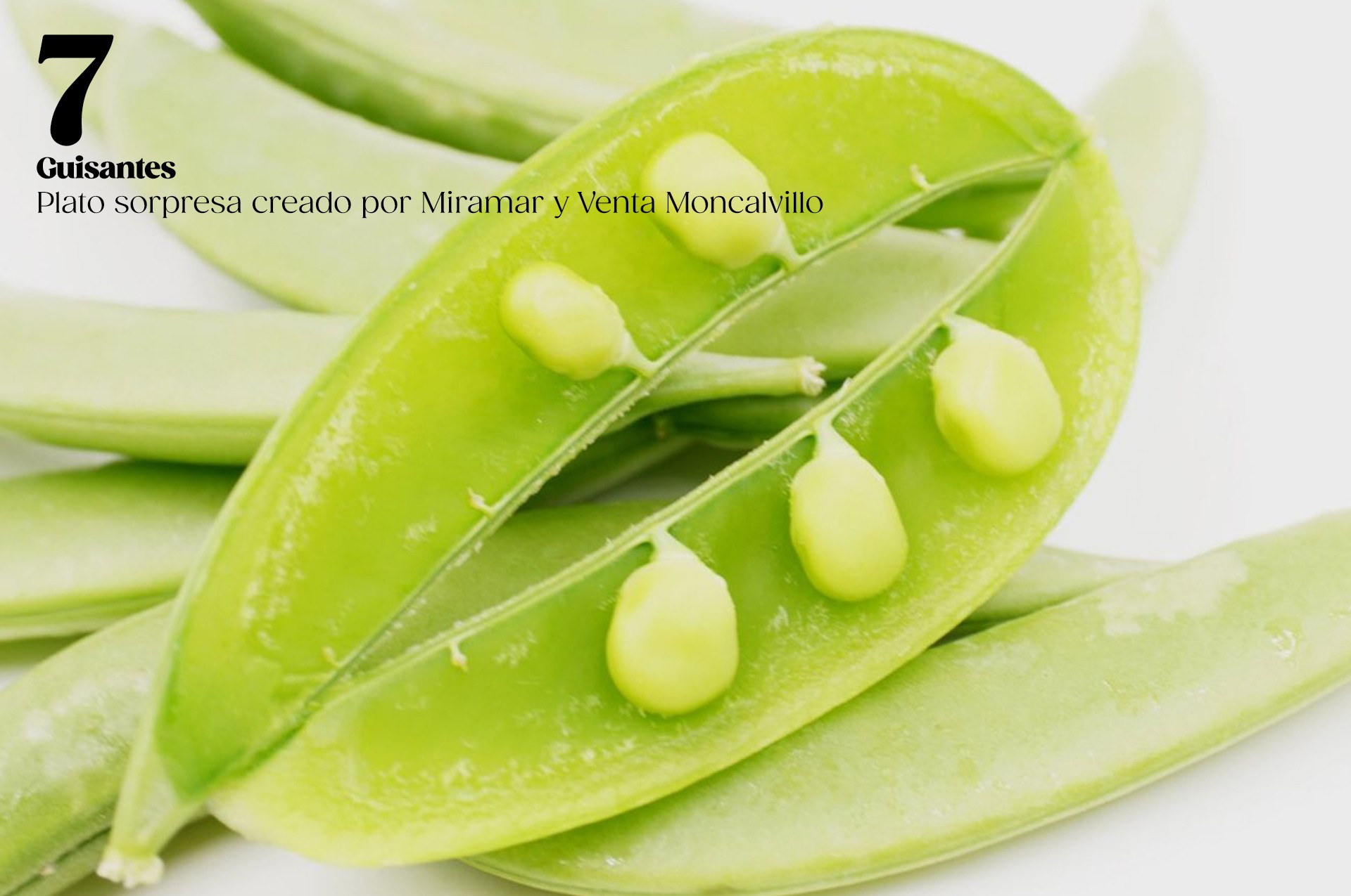 MIRAMAR Y VENTA MONCALVILLO (30-3-2026) 7