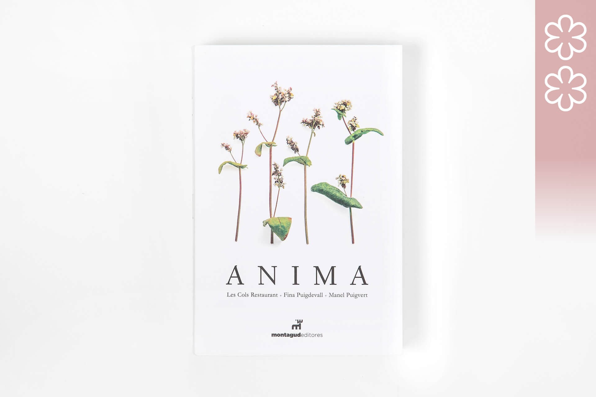 Anima Catalan Fina Puigdevall