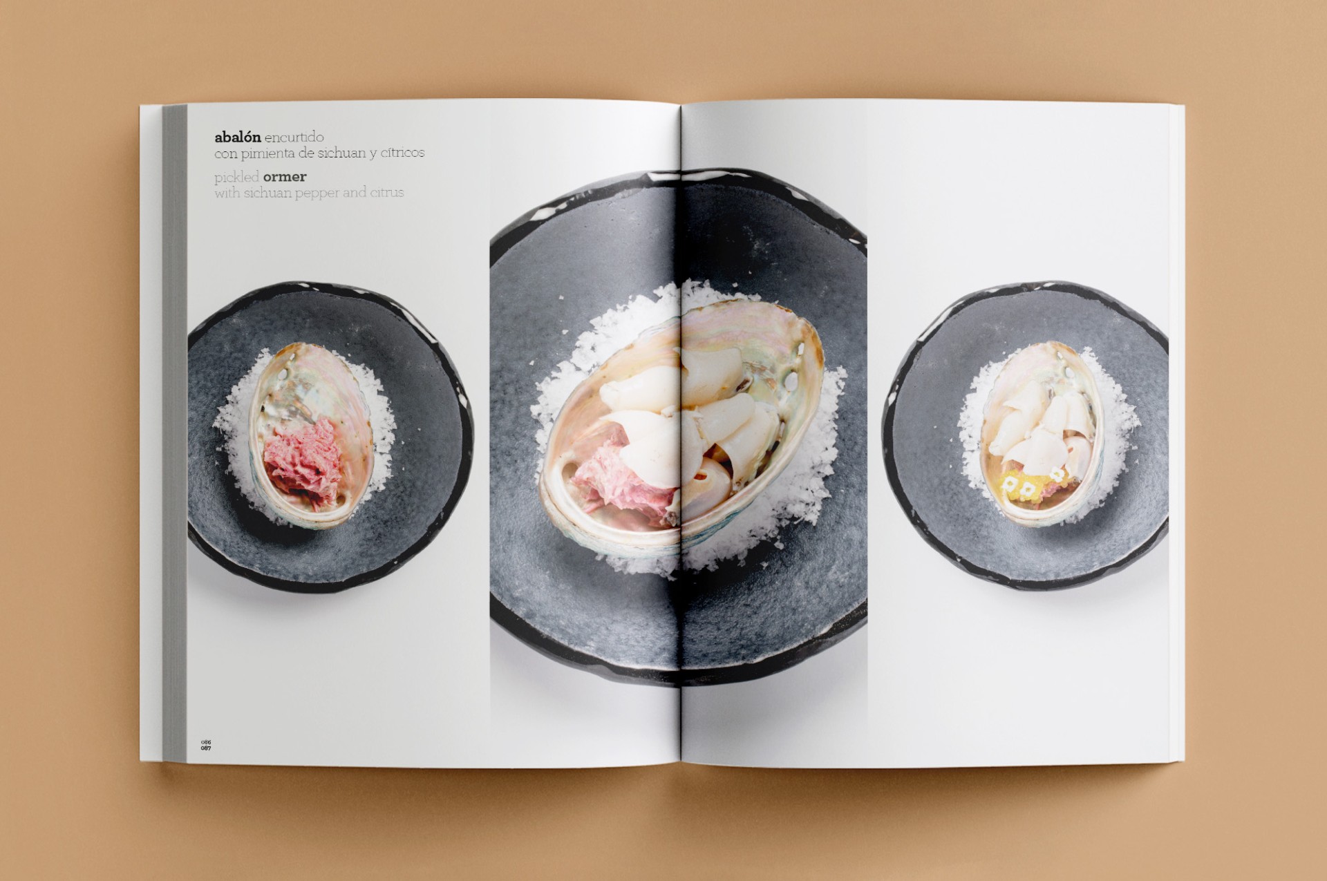 revistas gastronomicas 2