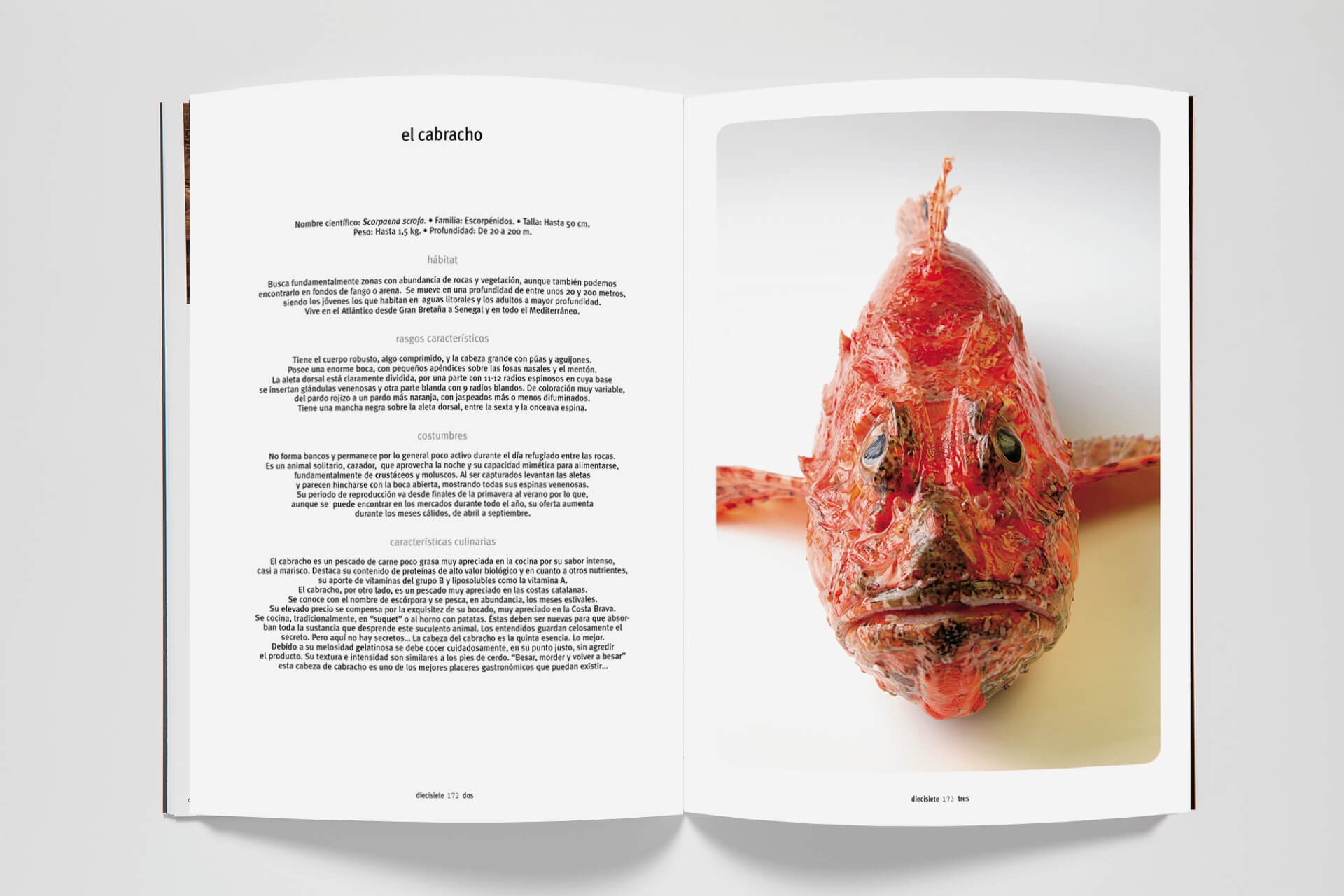 Apicius 07 (eBook) 4