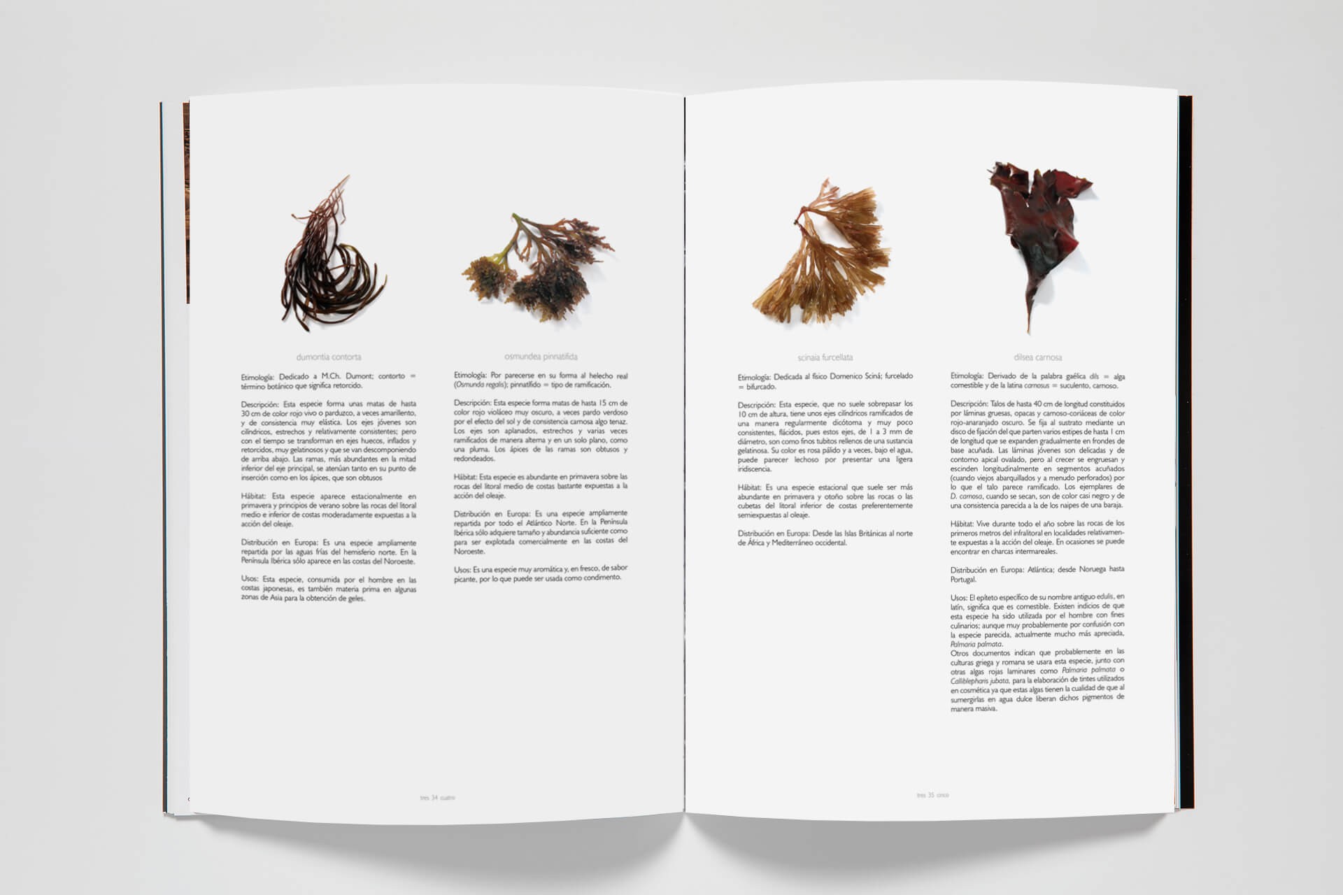 [apicius9] GRANT ACHATZ, BOURDAS, PIERRE GAGNAIRE, 2