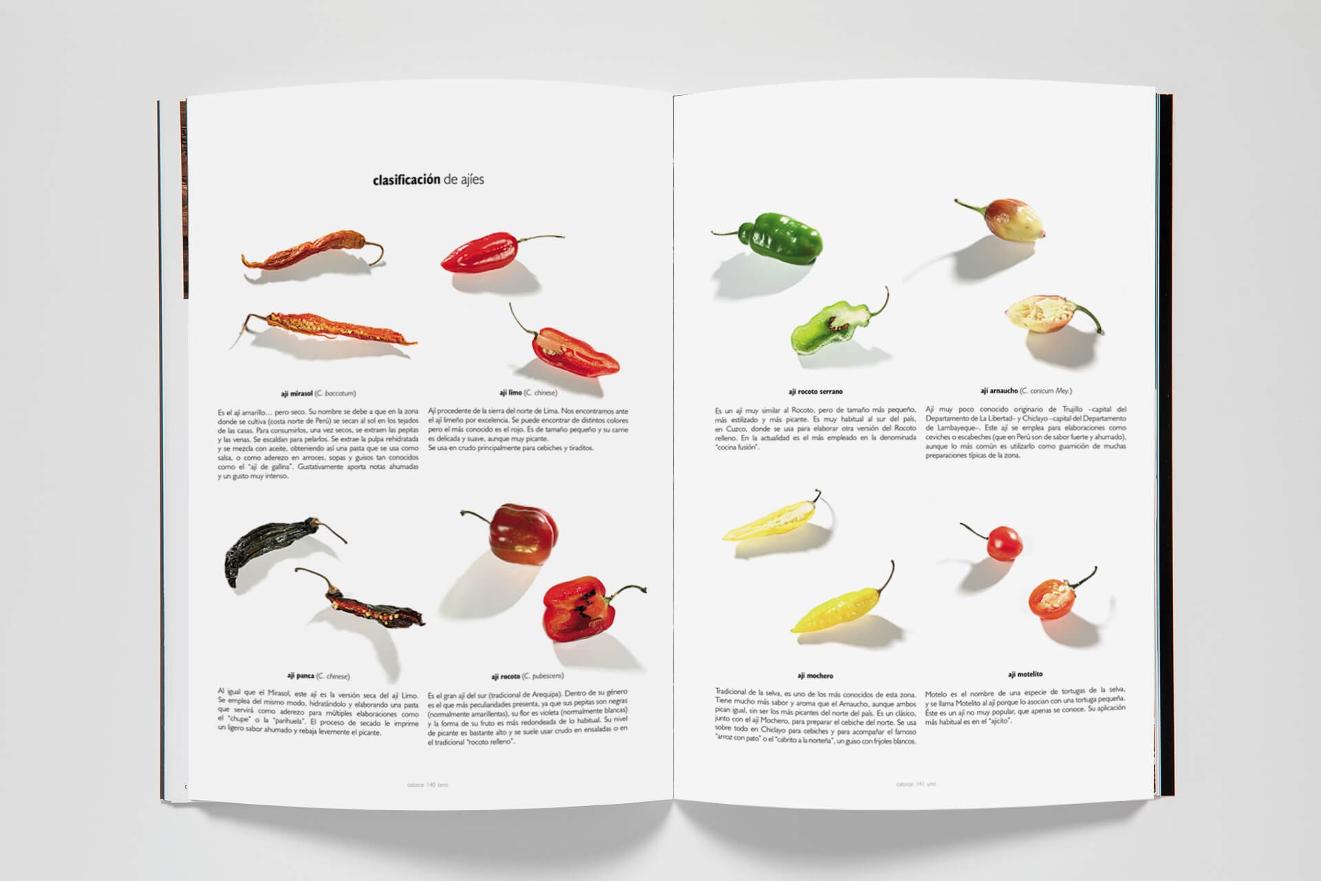 revistas gastronomicas 4