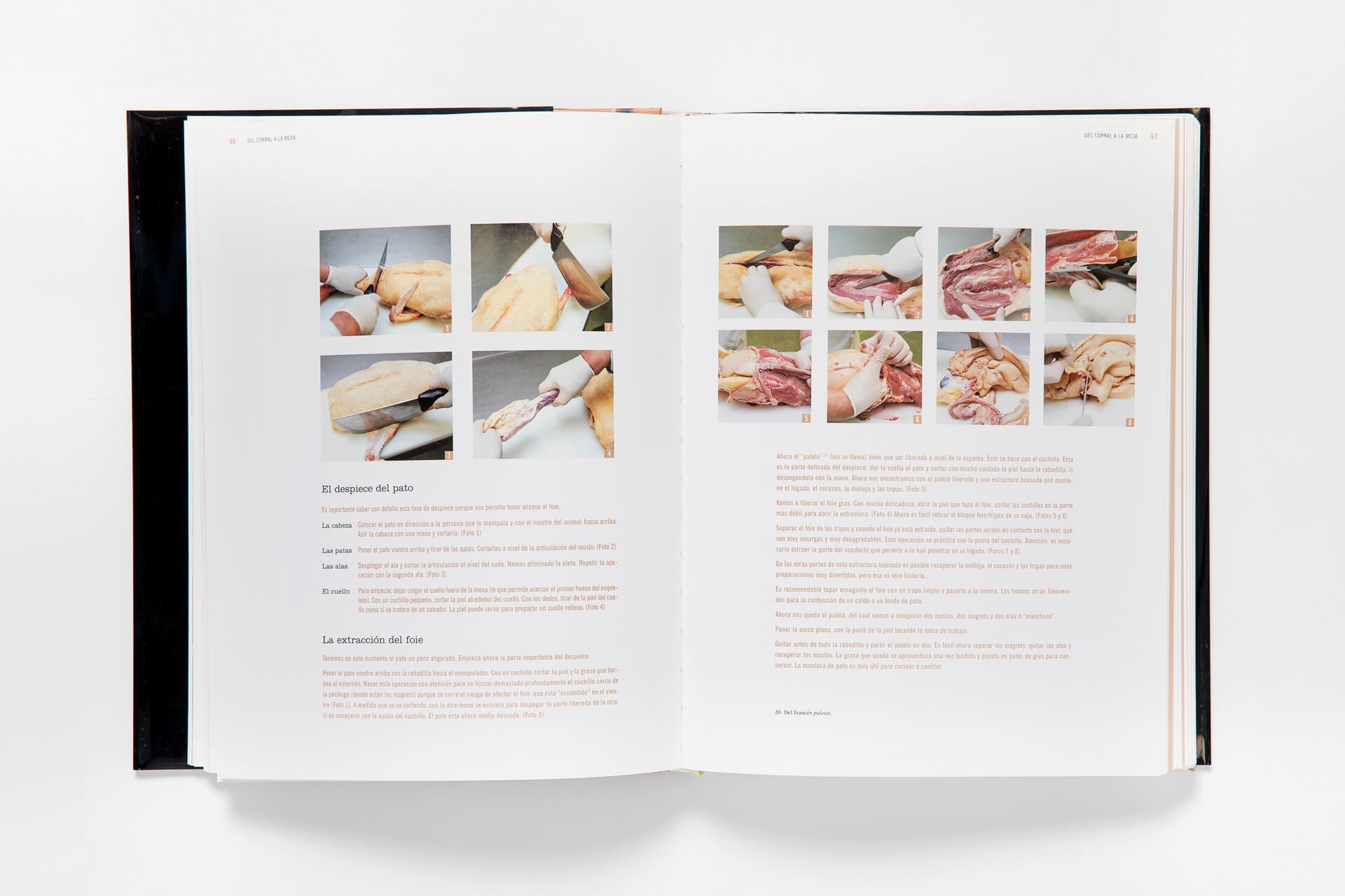 Pescado, un arte de Japón + Foie Gras (eBooks) 7