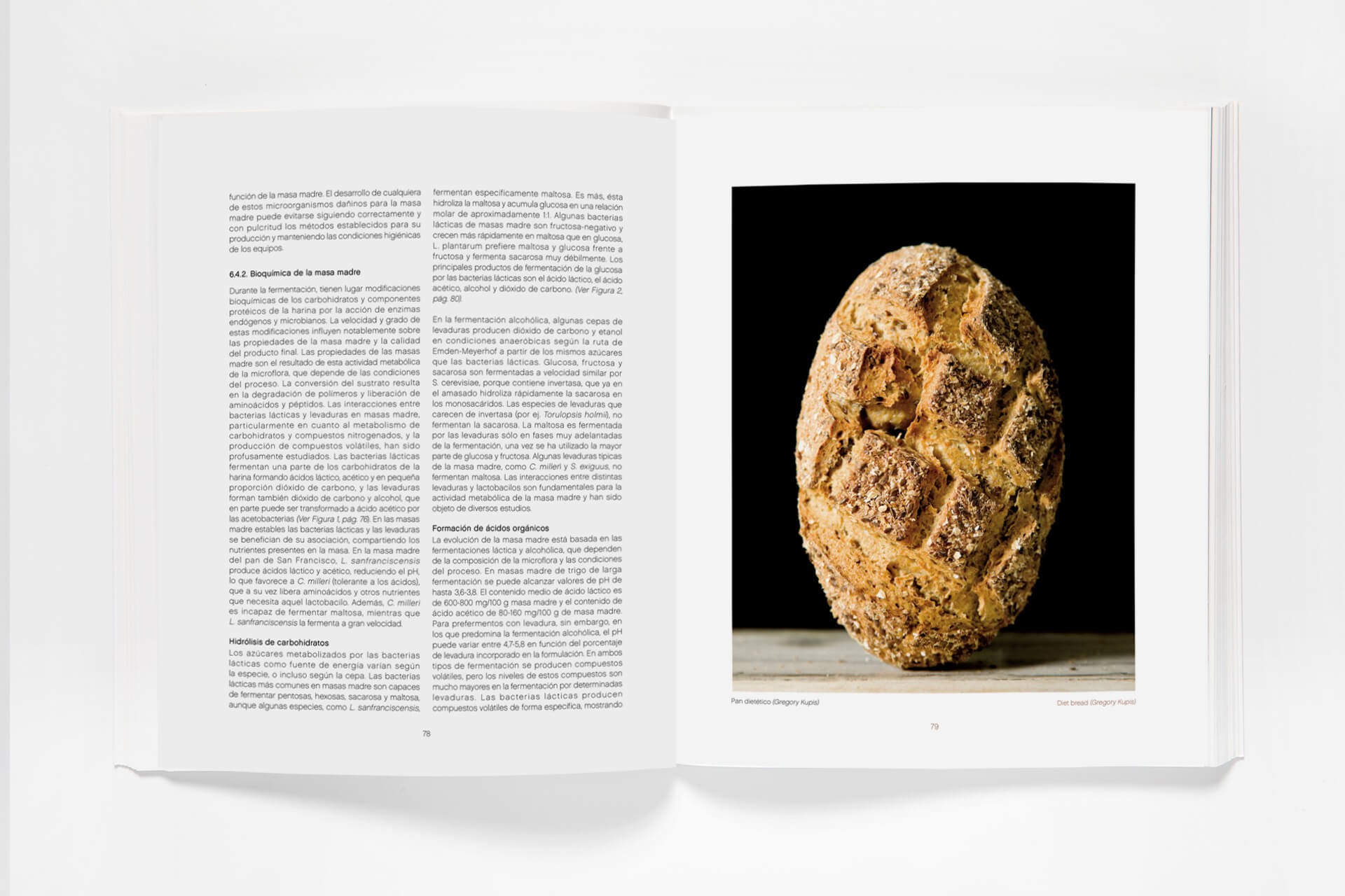 Sourdough (eBook), Francisco Javier Antoja 1