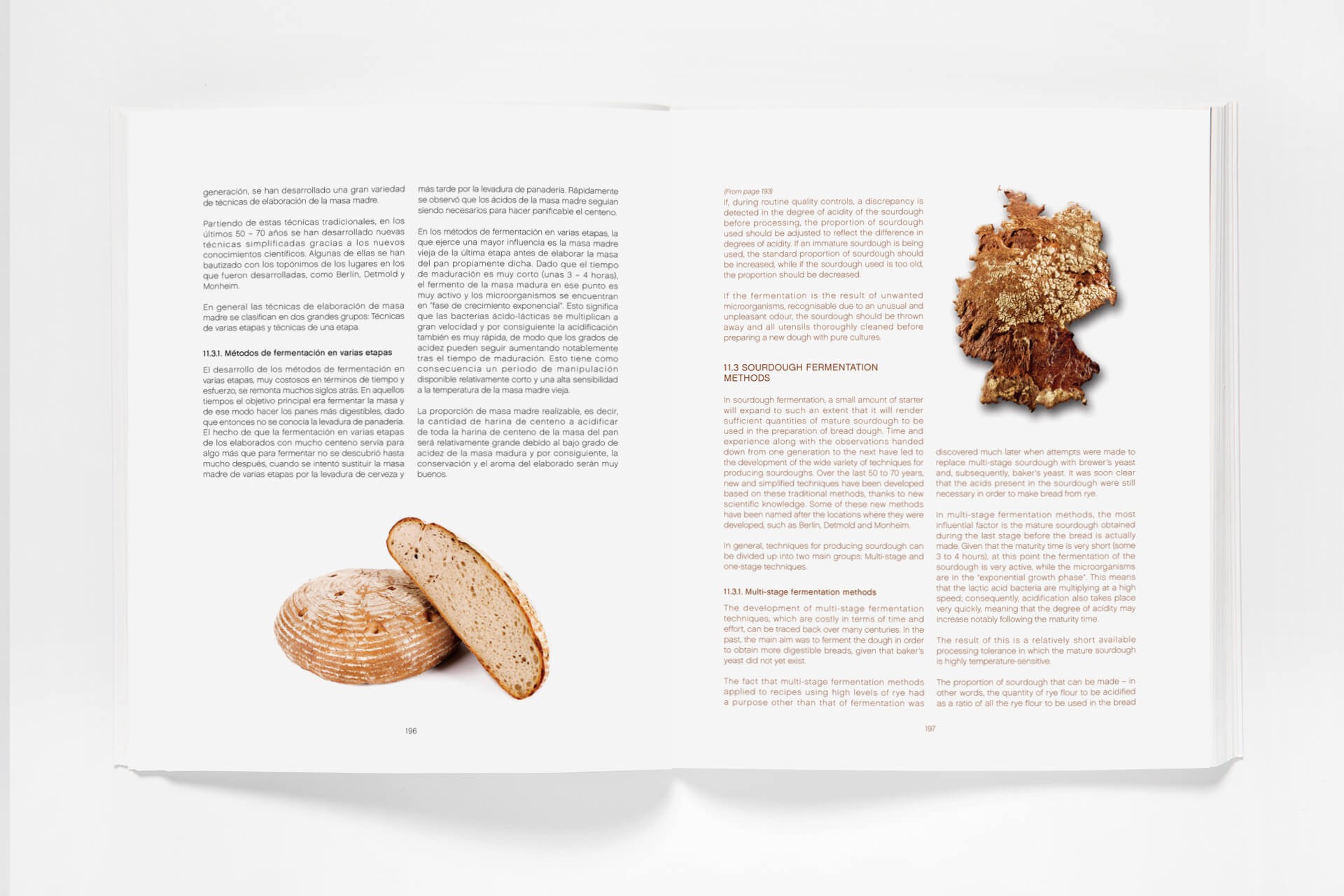 Sourdough (eBook), Francisco Javier Antoja 2