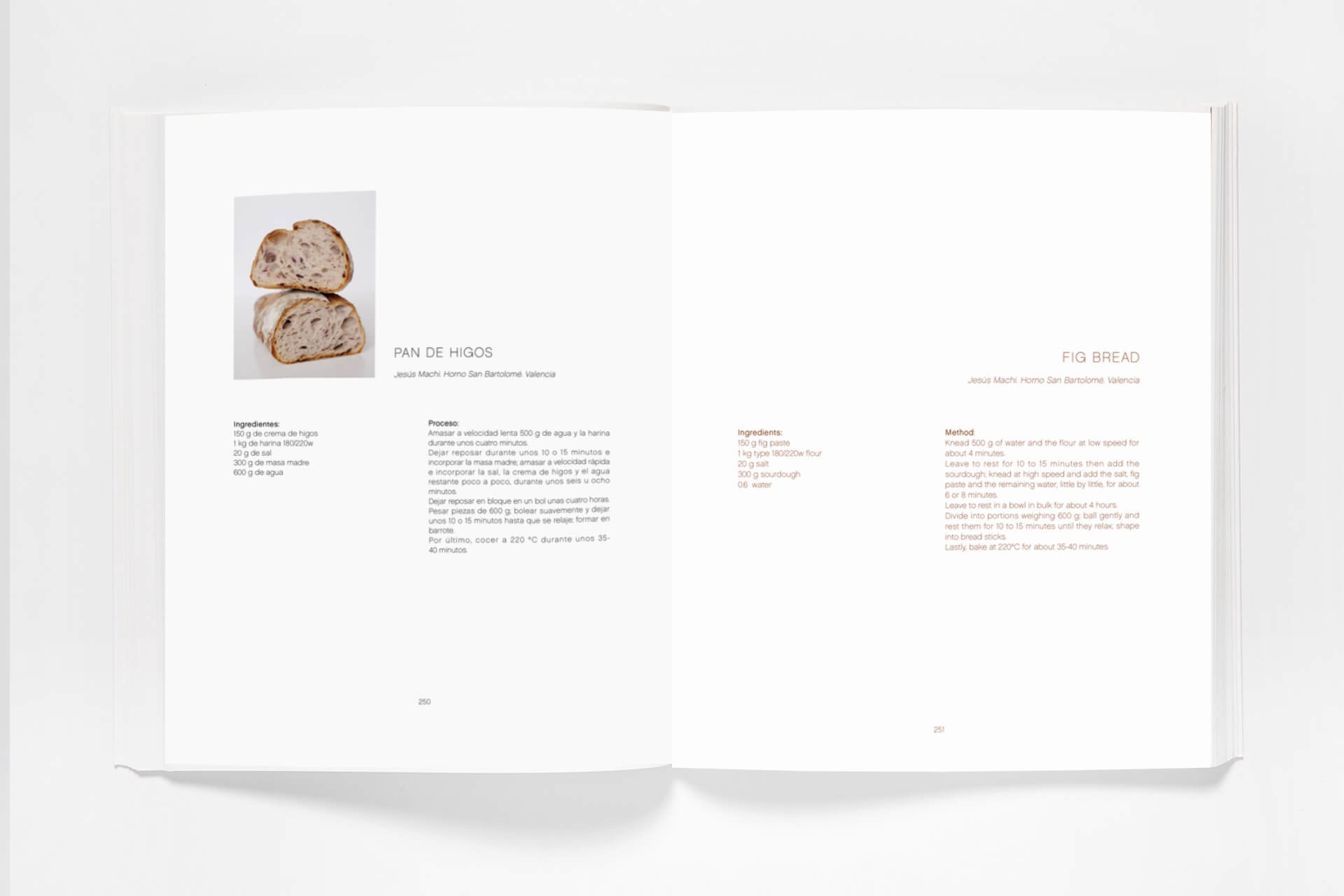 Masas madre-Sourdough, Francisco Javier Antoja 3