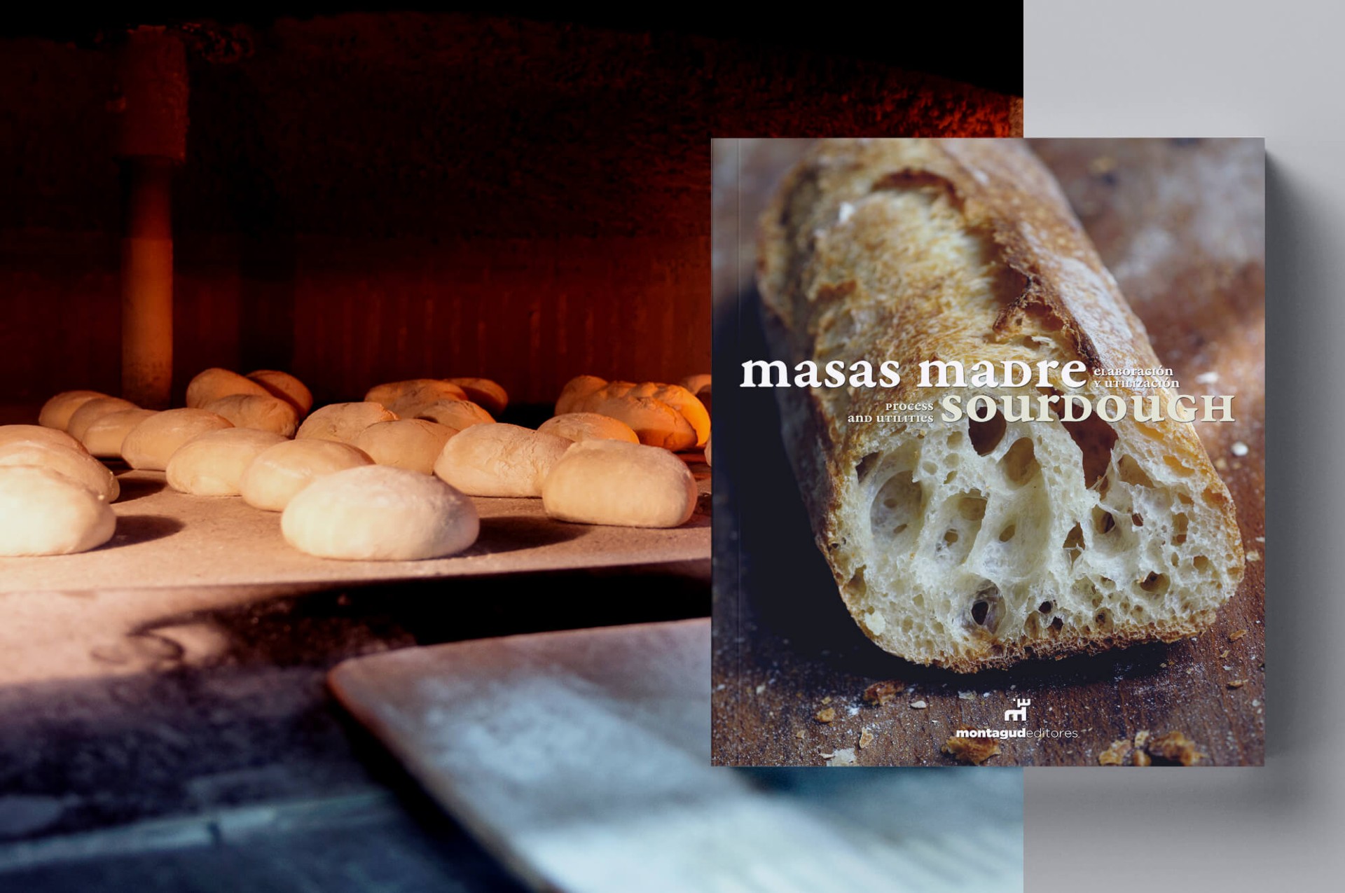 Masas madre-Sourdough, Francisco Javier Antoja