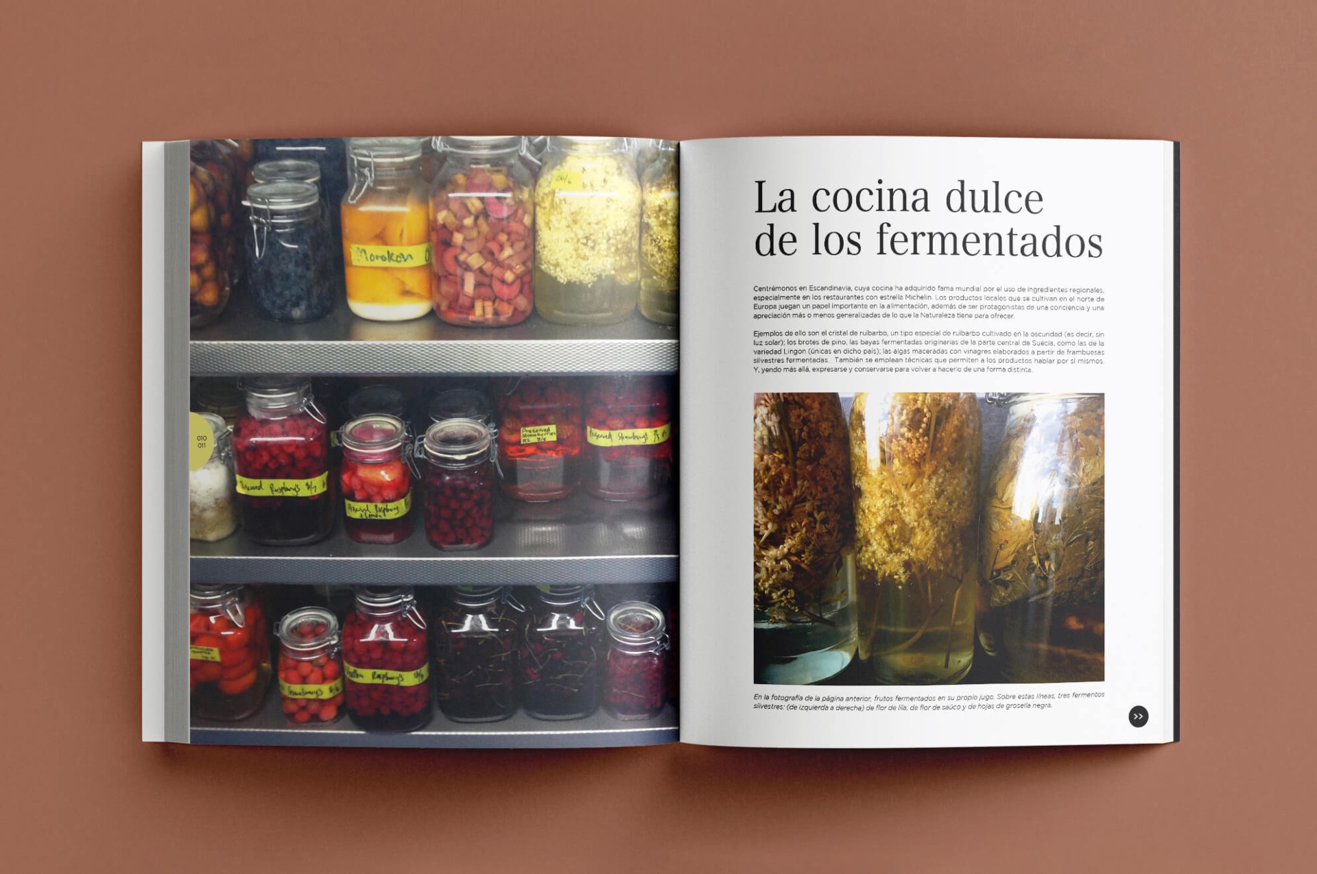 revistas gastronomicas 2