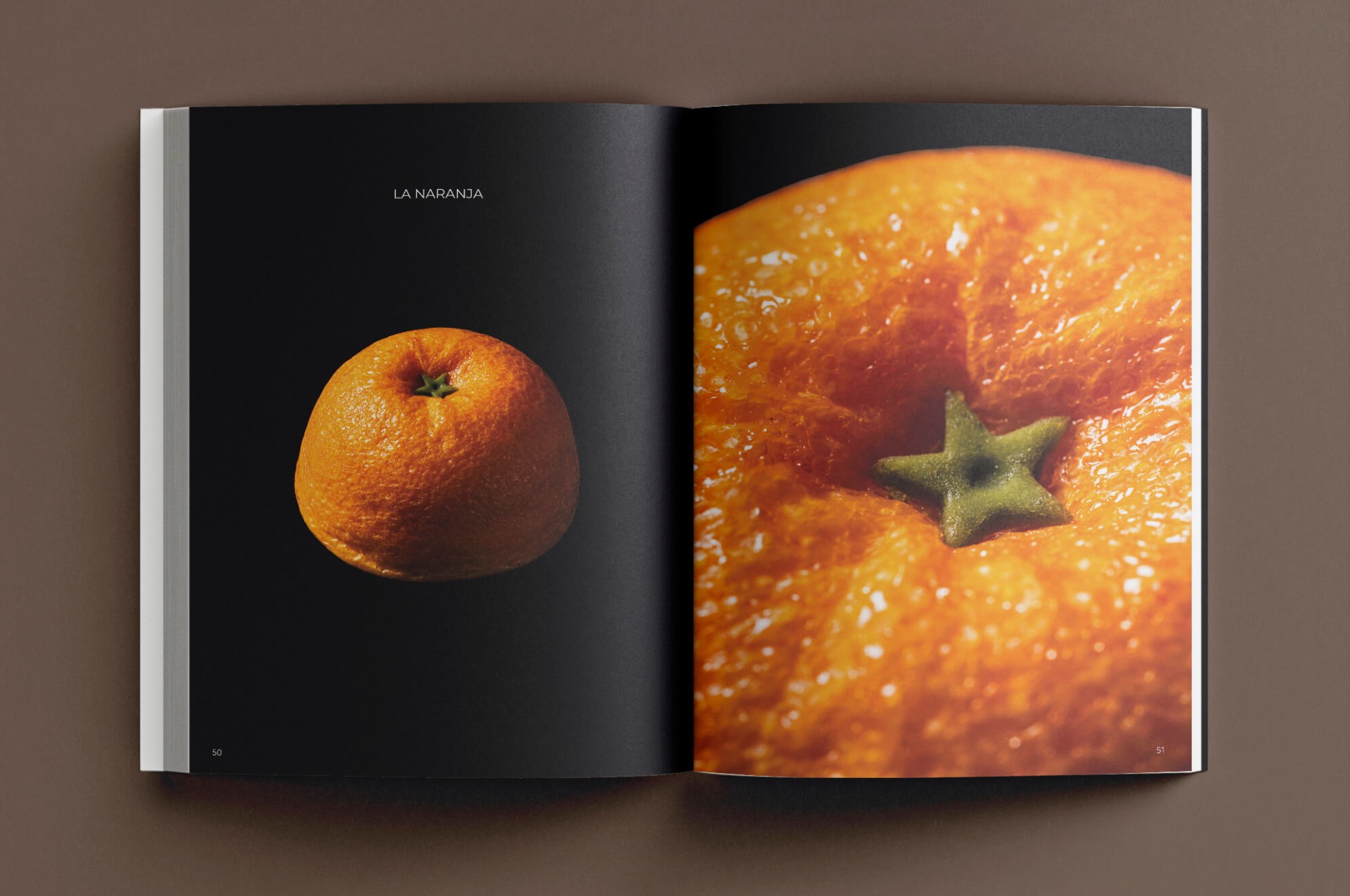 PASTRY 76. L'Atelier. Morreig. Lasarte. Canal. 22:22. Pa de kilo 8